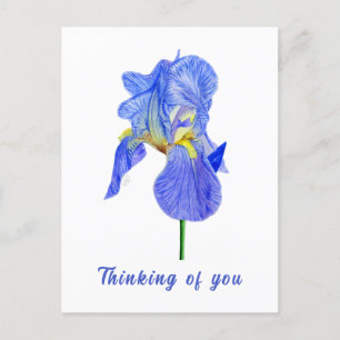 Iris Azul Pensando en Ti Tarjeta Postal
