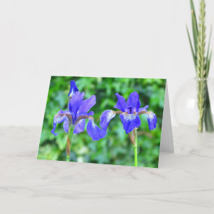 Iris azules - tarjeta de felicitaciones en blanco