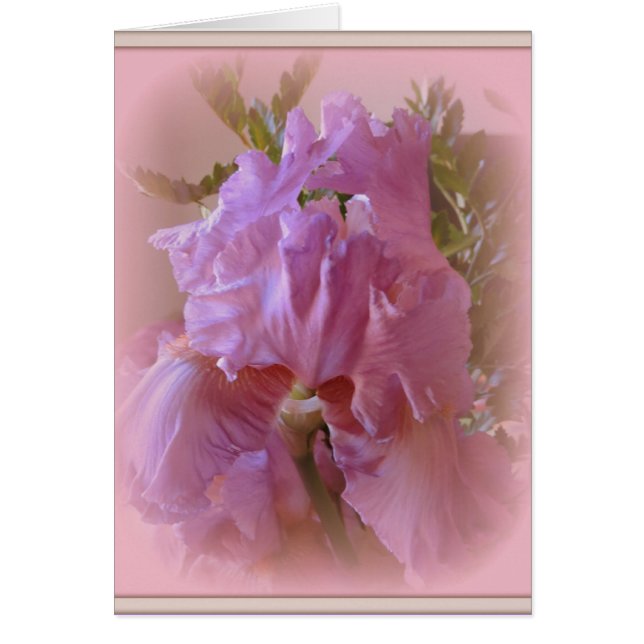 Iris Beauty (Frente)