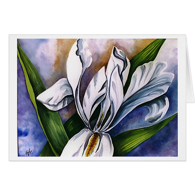 Iris blanco 2 de Barbara Beck-Azar (Anverso (Horizontal))