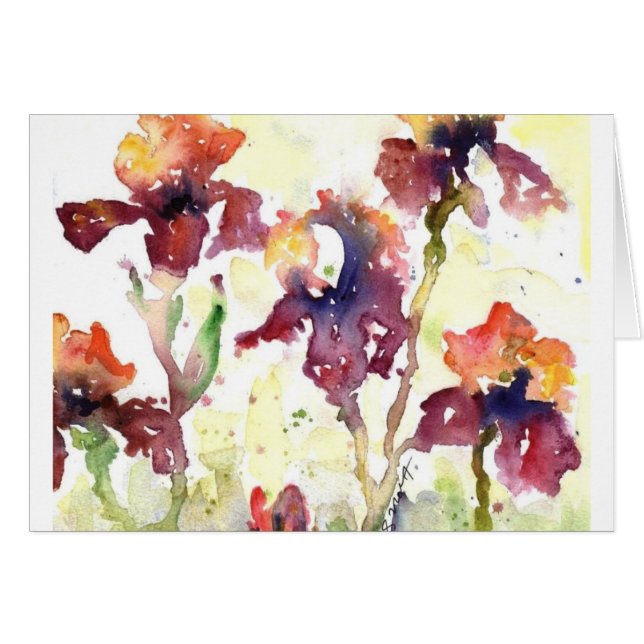 iris de color de malva (Anverso (Horizontal))