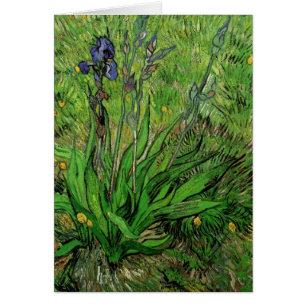 Iris de Vincent van Gogh, Flores de Jardín Vintage