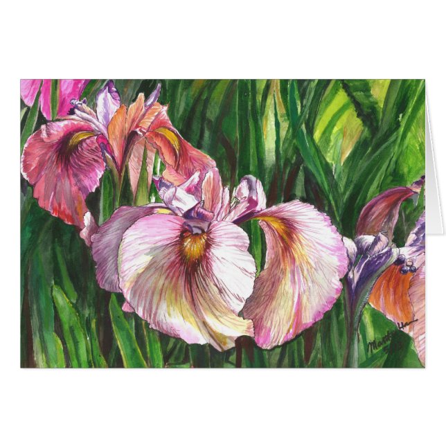 Iris fantástico del grupo (Anverso (Horizontal))