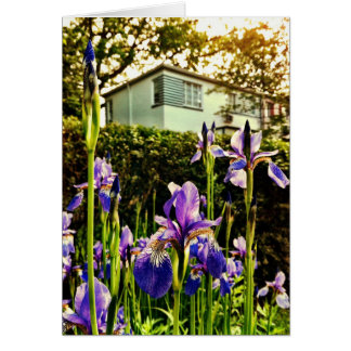 Iris florecientes delante del museo del Greenbelt