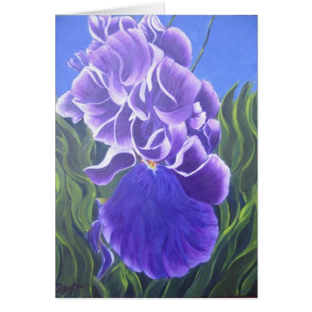 Iris morado (Frente)