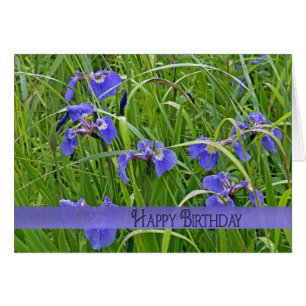 Iris morado salvaje