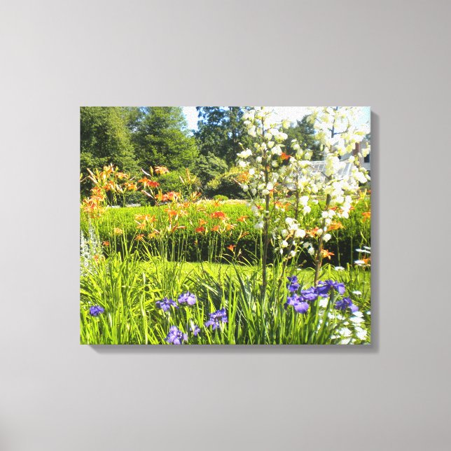 Iris N Daylilies Impresiones De Lienzo Envueltas (Anverso)