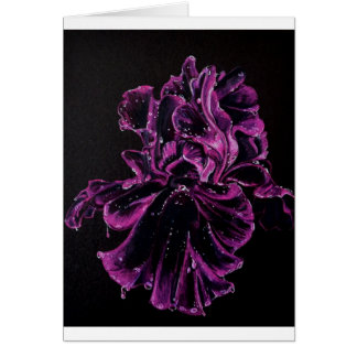 Iris negro