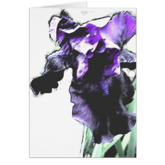 Iris, púrpura