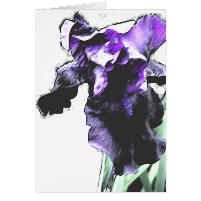 Iris, púrpura (Frente)