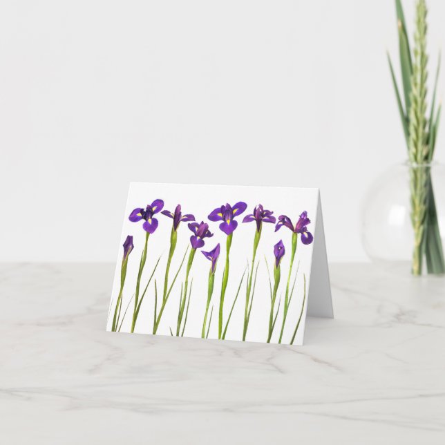 Iris púrpuras - plantilla modificada para (Anverso)