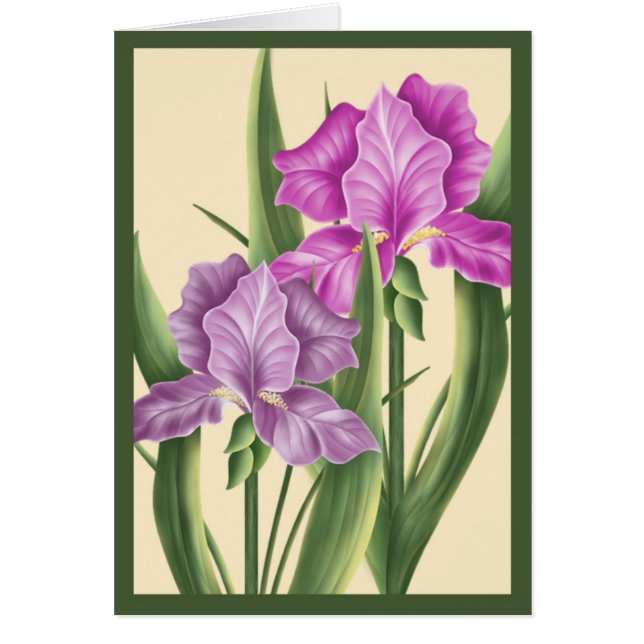 Iris rosado (Frente)