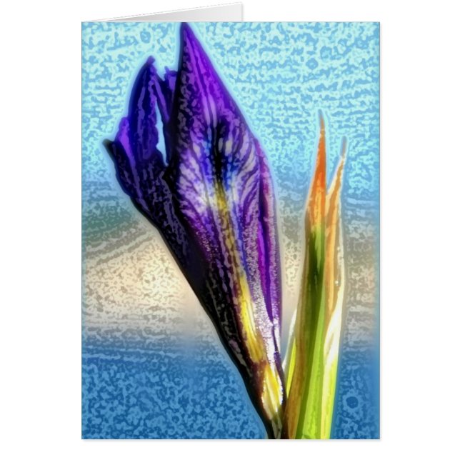 Iris salvaje (Frente)