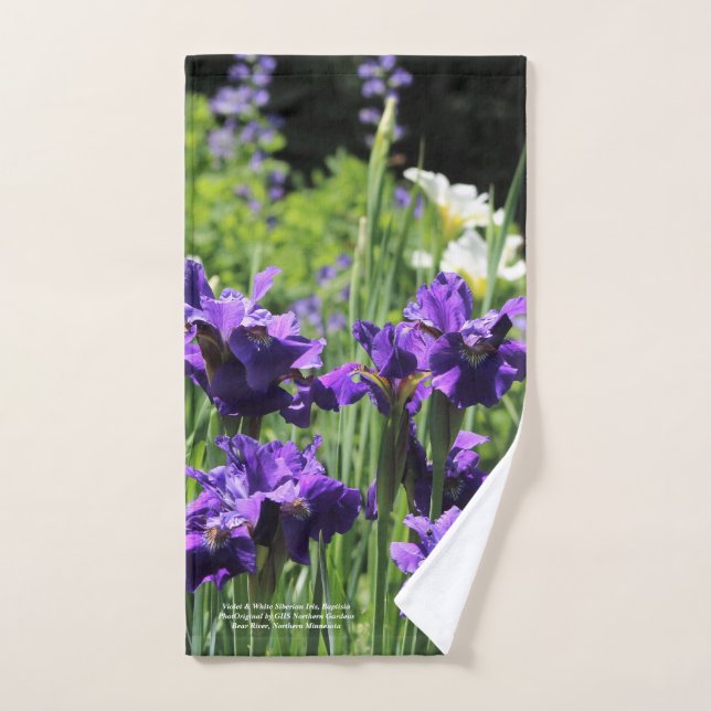 Iris siberiano violeta y blanco, Baptisia (Toalla de mano)