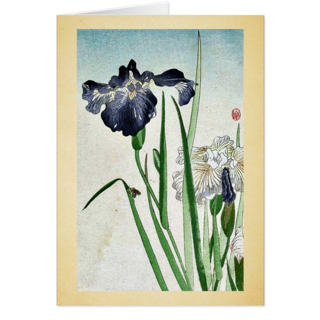Iris Ukiyoe (Frente)
