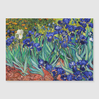 Irises de Vincent van Gogh