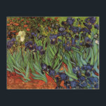 Irises de Vincent van Gogh, Arte de Jardín Vintage<br><div class="desc">Irises (1889) de Vincent van Gogh es un bello arte vintage post impresionsionismo paisaje floral con un jardín con iris morado barbudo cultivado por amapolas naranjas. Una sola flor blanca de iris está floreciendo al borde. Sobre el artista: Vincent Willem van Gogh (1853-1890) fue uno de los pintores más famosos...</div>