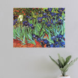 Irises de Vincent van Gogh, Arte de Jardín Vintage<br><div class="desc">Irises (1889) de Vincent van Gogh es un bello arte vintage post impresionsionismo paisaje floral con un jardín con iris morado barbudo cultivado por amapolas naranjas. Una sola flor blanca de iris está floreciendo al borde. Sobre el artista: Vincent Willem van Gogh (1853-1890) fue uno de los pintores más famosos...</div>