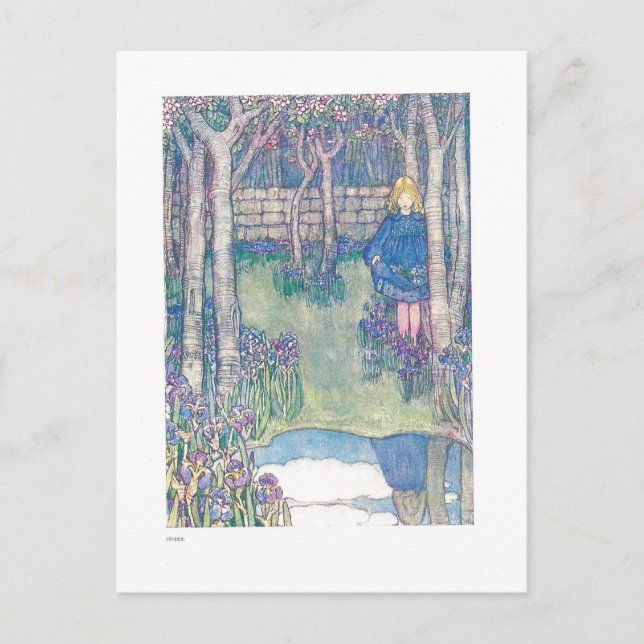Irisis en la tarjeta postal de Ilustracion de la é (Anverso)