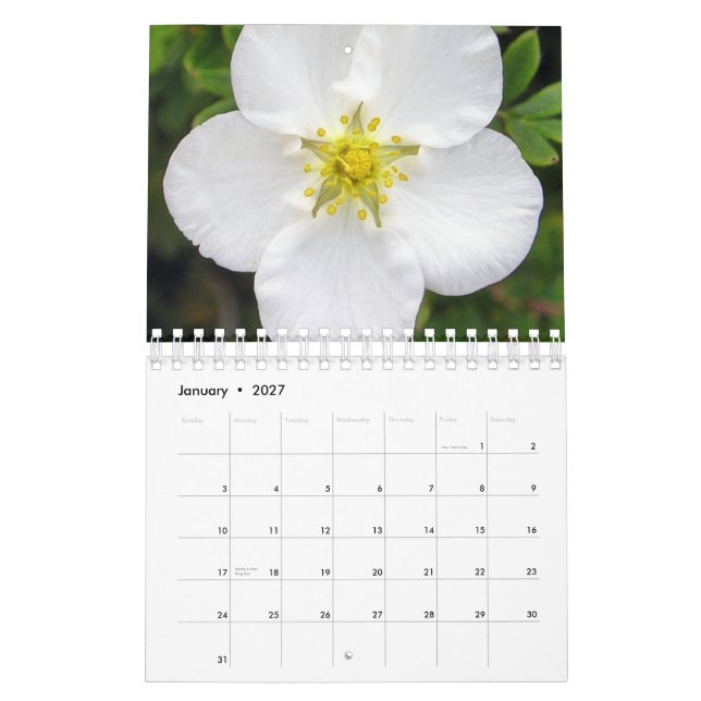 Irlanda en calendario de la floración (Jan 2027)