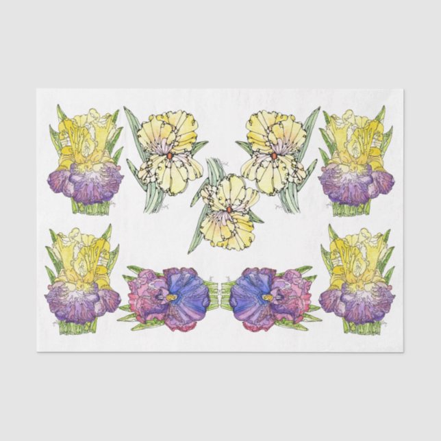 Irlandeses de color morado amarillo - Papel de ton (Anverso)