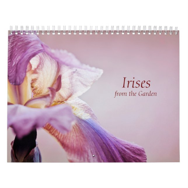 Irlandeses del calendario desde el jardín (Tapa)