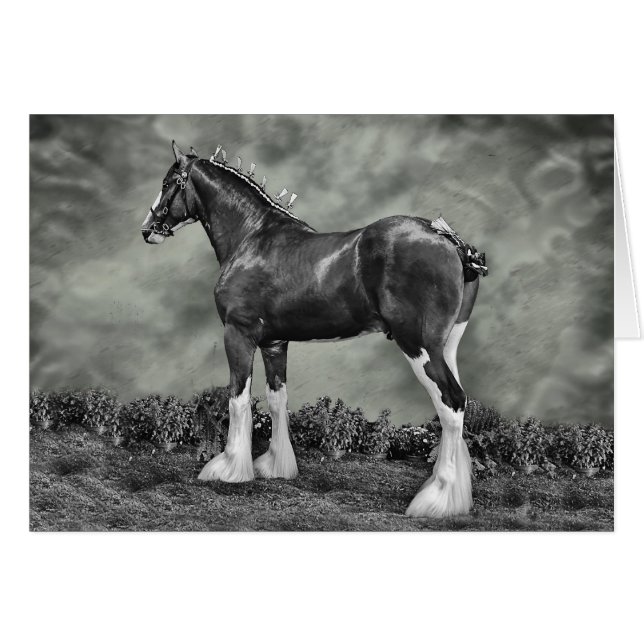 Iron Horse Steele (Anverso (Horizontal))