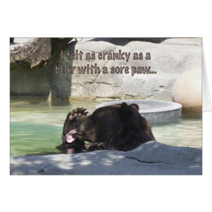 Irritable como oso con una pata dolorida