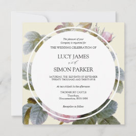 Isabella II Rosas franceses elegantes