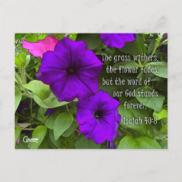 Isaiah 40:8 - Postal