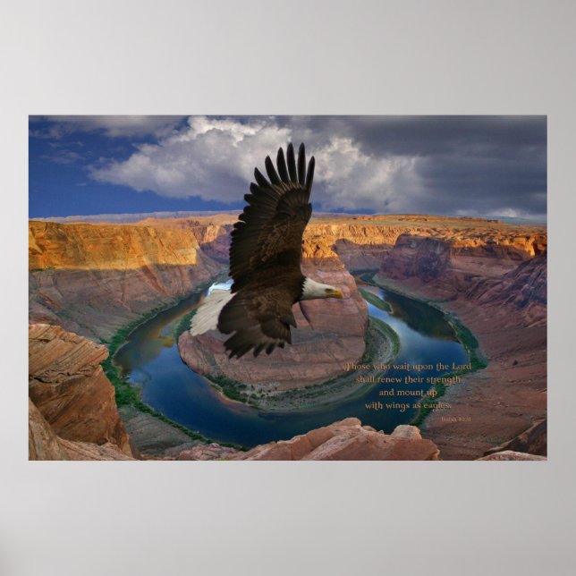 Isaías 40:31 Impresión de las escrituras (Frente)