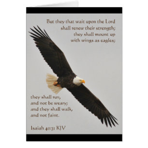 Isaías 40:31 Pero los que esperan al Señor