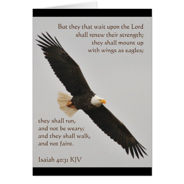 Isaías 40:31 Pero los que esperan al Señor (Frente)