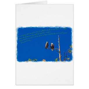 Isaías 40:31 sobre blanco