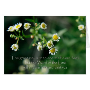 Isaías 40:8 La hierba puede marchitarse y desvanec