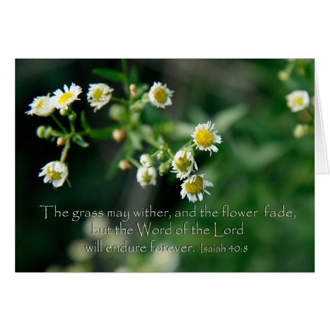 Isaías 40:8 La hierba puede marchitarse y desvanec (Anverso (Horizontal))