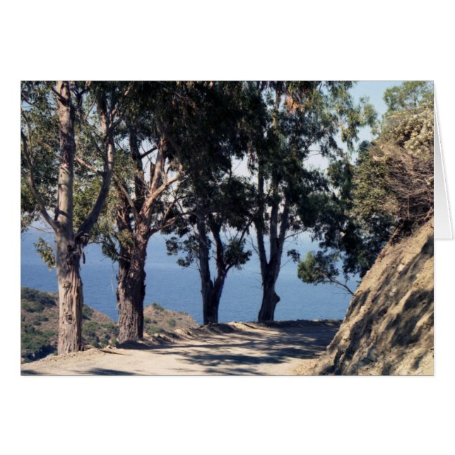 Isla Catalina (Anverso (Horizontal))