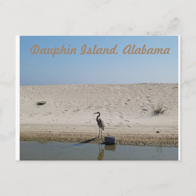 Isla Dauphin, Alabama con postal Blue Heron (Anverso)