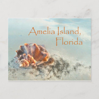 Isla de Amelia, postal FL Seashell