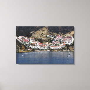 Isla de Catalina del arte de la pared