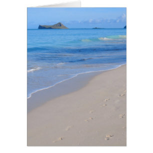Isla de Conejo
