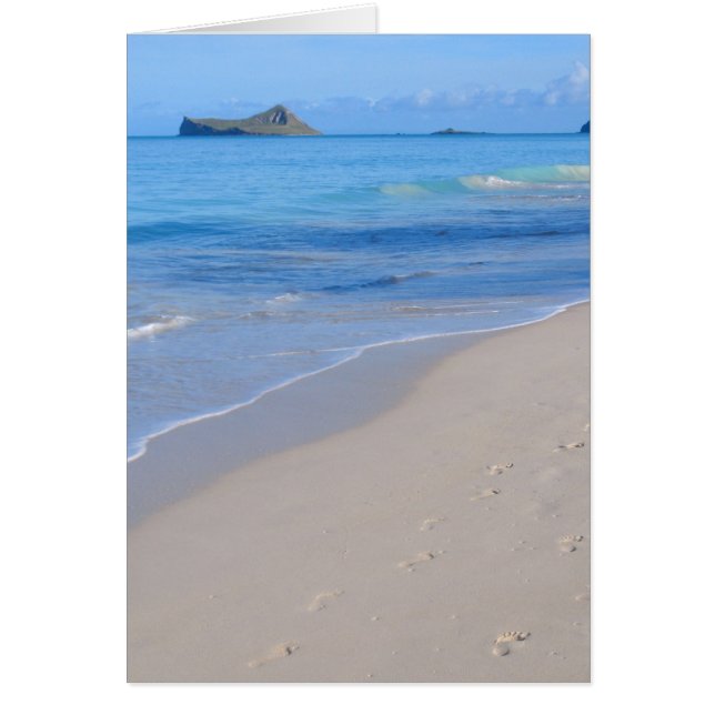 Isla de Conejo (Frente)