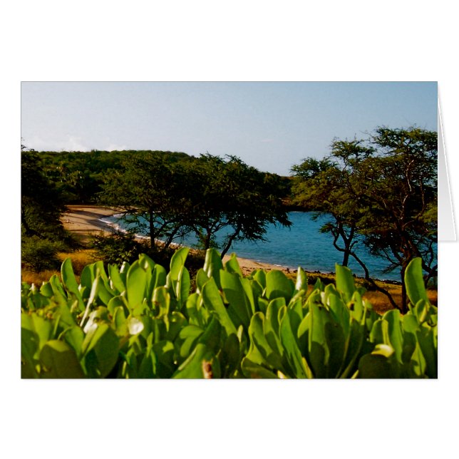 Isla de Lanai en Hawái (Anverso (Horizontal))