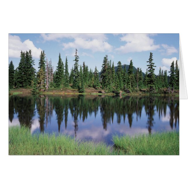 Isla de Vancouver, Parque Provincial Strathcona 2 (Anverso (Horizontal))