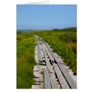 Isla de Whitehead, NOTA