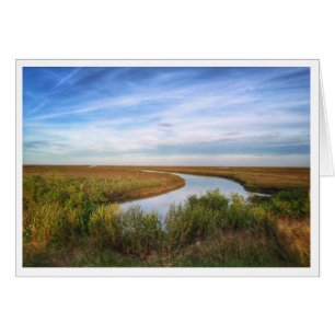 Isla del Egret, Matagorda, TX