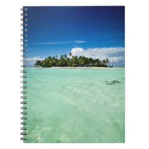 Isla del Pacífico con el cuaderno de las palmeras