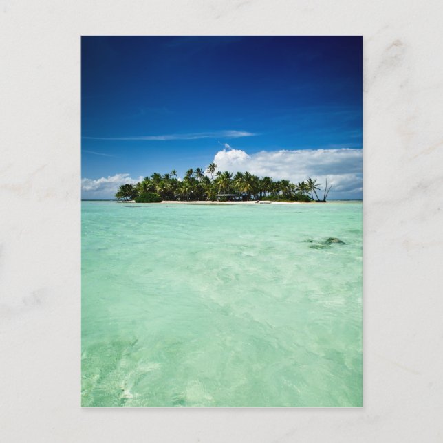 Isla del Pacífico con postal de retrato de palmera (Anverso)