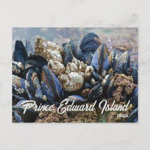 Isla del Príncipe Eduardo Canadá Tarjeta Postal Me