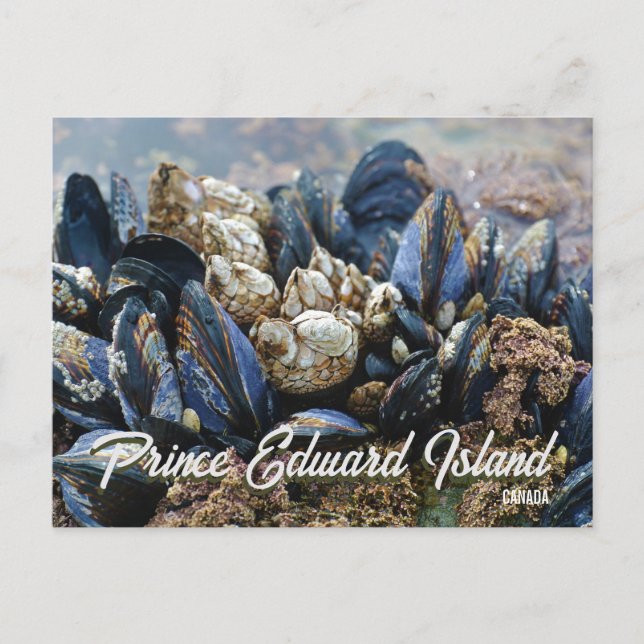 Isla del Príncipe Eduardo Canadá Tarjeta Postal Me (Anverso)
